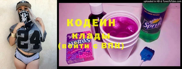 прущие грибы Абаза