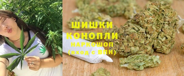 прущие грибы Абаза