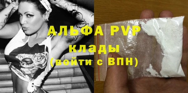 прущие грибы Абаза