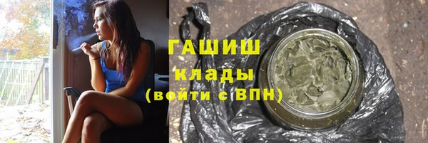 прущие грибы Абаза