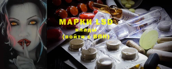прущие грибы Абаза