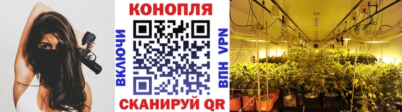 Бошки Шишки конопля  наркотики  Лиски 